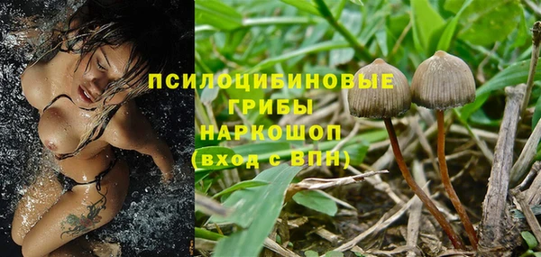 ALPHA PVP Верея