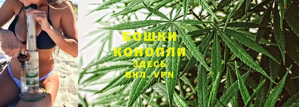 прущая мука Бородино