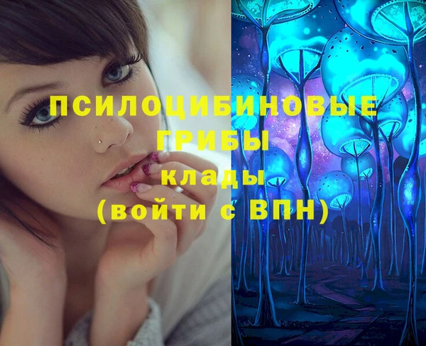 прущая мука Бородино