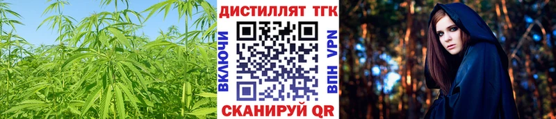 Купить где  Белинский  ТГК вейп 