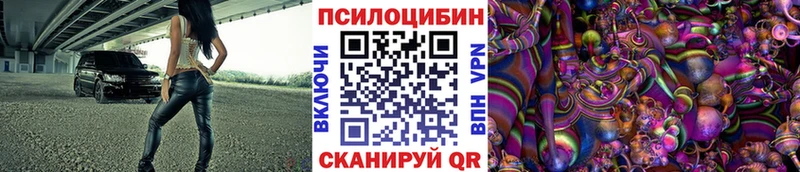 Купить где  Белинский  Псилоцибиновые грибы Magic Shrooms 